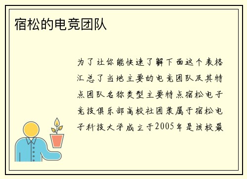 宿松的电竞团队